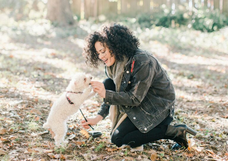 Achieving Dog Training Success With The 18 ‘Don’ts’ Rules